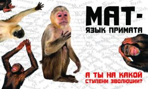 Интеллигенция и мат