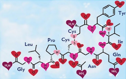 формула Окситоцина, где молекулы изображены в форме сердечек.