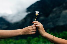 На картинке две женских руки, одна из которых передает цветок другой, с пожеланиями счастья.