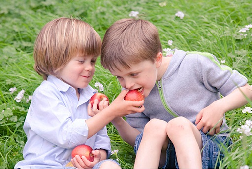 Мальчики угощают друг друга яблоками, которые сорвали в саду сами. Нет проблемы накормить ребенка, если он сам “добыл” себе еду.