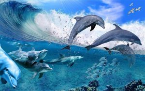 вернуться к полноценной жизни (стая дельфинов резвиться в океане, наслаждаясь жизнью)