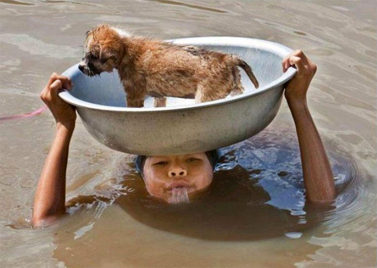 мальчик на вытянутых вверх руках держит таз со щенком, находясь по голову в воде, демонстрируя важные правила жизни, из которых первое правило - спасать других! 