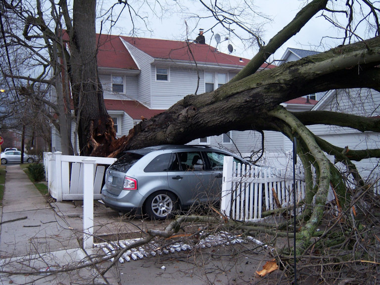 Про стихийные бедствия. На картинке последствия урагана, в результате которого раскололось дерево возле дома и упало на автомобиль. 