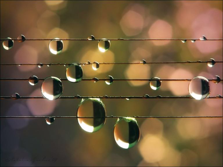 На проводах повисли капельки дождя, как ноты музыки природы.